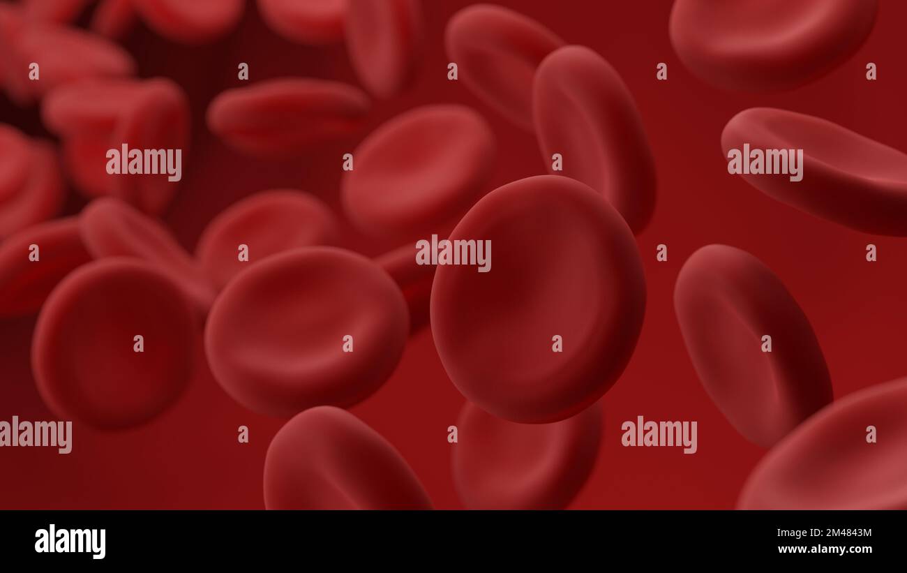 Rote Blutkörperchen. Erythrozyten. 3D Abbildung. Stockfoto