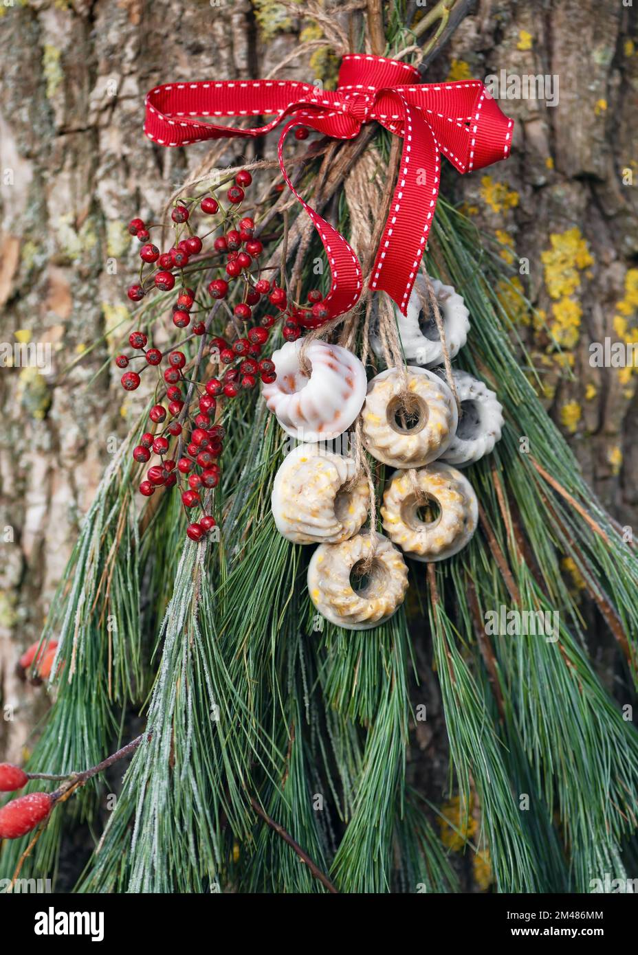 Hausgemachte Mini-Erdnüsse, gebündelte Kuchen, Vogelfutter aus Bio-Erdnüssen und Vogelsamen, die im Garten hängen. Die Fütterung der Vögel im Winter. Stockfoto