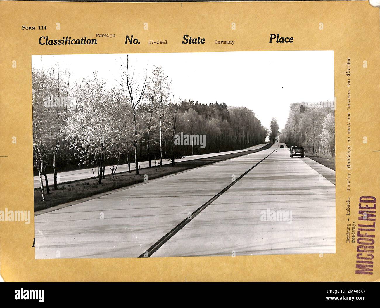 Hamburg nach Lübeck, Anpflanzungen auf Abschnitten zwischen geteilten Straßen. Land: Deutschland. Stockfoto