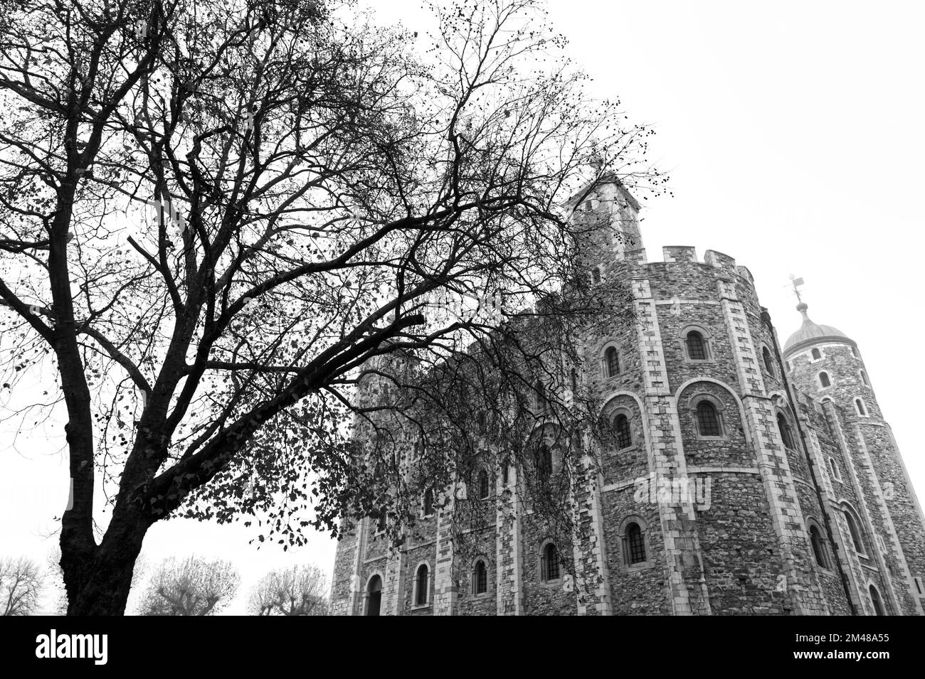 Tower of London der weiße Turm künstlerische Baum in Schwarz und Weiß in Großbritannien Europa Stockfoto