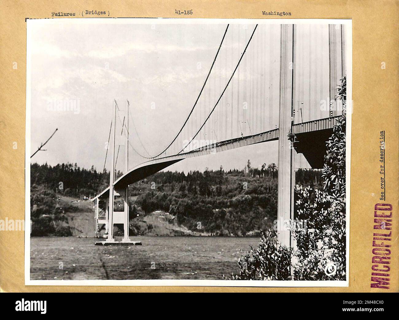 Tacoma Narrows Bridge, Tacoma, Washington. Originalüberschrift: Tacoma Narrows Bridge, Tacoma, Washington. Westlich von der Südseite der Brücke, zwischen dem 10:00. Und 11:00am. November 7, 1940, zeigt die Drehbewegung der Welle mit gegenüberliegenden Trägern, die nicht aufeinander abgestimmt sind. Die Winkelneigung des Decks in Querrichtung wird durch den Winkel zwischen Lichtpfosten und vertikalen Kabelhalterungen angezeigt (maximal ca. 45° erreicht). Achten Sie darauf, dass der automatische Weg in Richtung Kamera zwischen dem dritten und vierten Leuchtpfosten links vom rechten Turm verläuft. Diese Automatik mit eingelegten Bremsen und eingelegtem Gang war vor dem Ausfall in Schritten von ungefähr gedreht Stockfoto