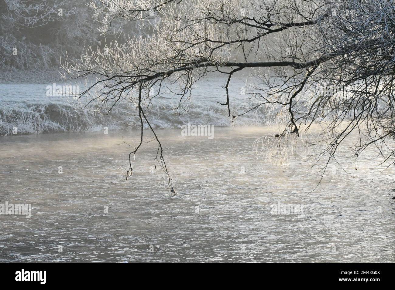 Nebel über dem Fluss Nore, Thomastown, Co Kilkenny, Irland Stockfoto