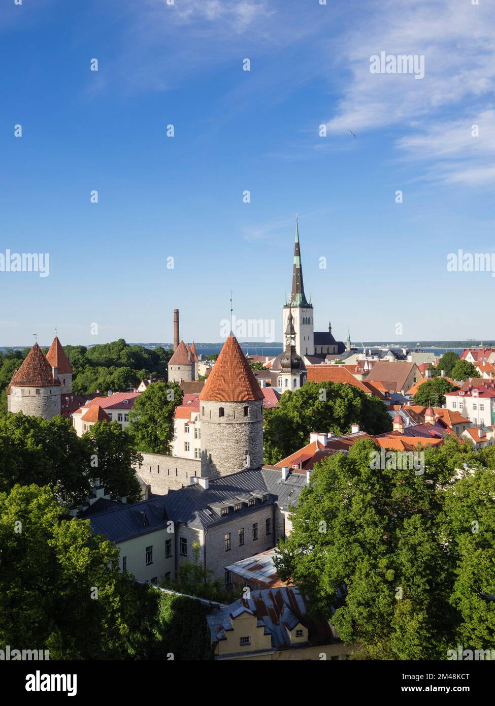 Blick auf die Stadt von der Aussichtsplattform Patkuli, Altstadt, Tallinn, Estland, baltische Staaten, Europa Stockfoto