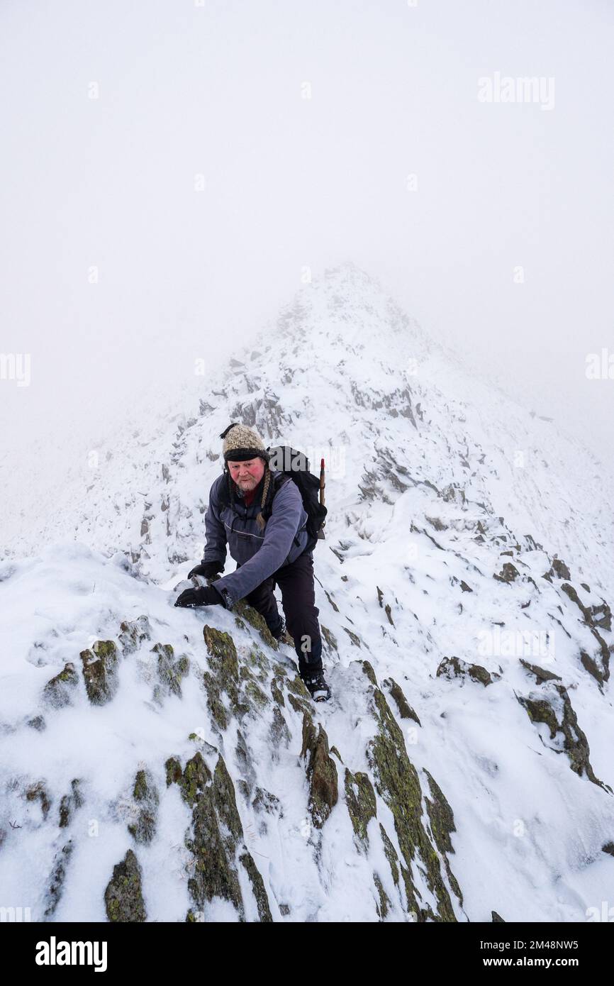 Bergsteiger auf einer Winterwanderung am Striding Edge auf Helvellyn im Lake District National Park, Cumbria, Großbritannien Stockfoto