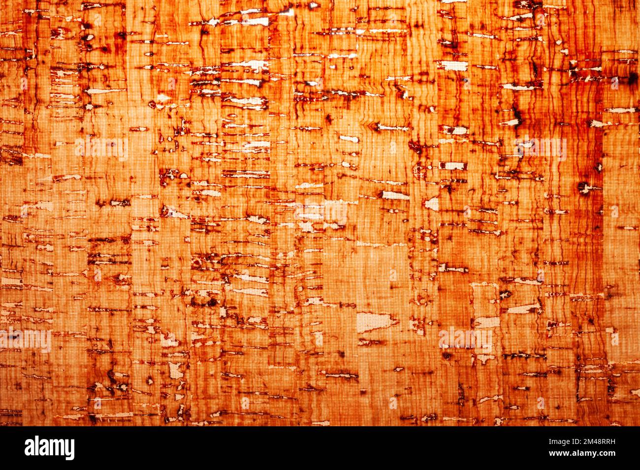 Schäbige, papyrus-ähnliche Hintergrundstruktur Stockfoto