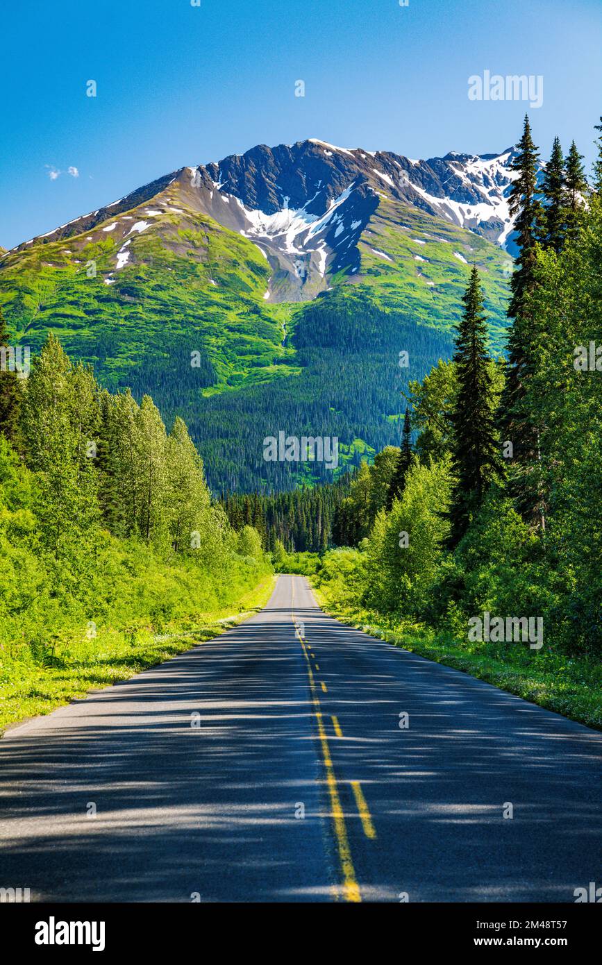 Stewart-Cassiar Highway; nahe Red Flats Rest Area; Oweegee Range; British Columbia; Kanada Stockfoto