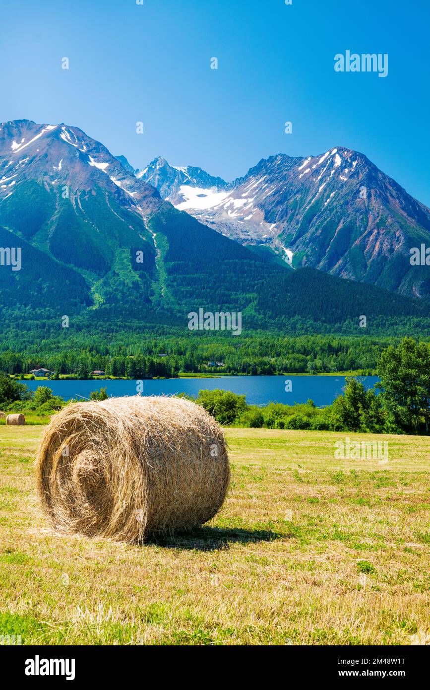 Große runde Heuballen auf Feldern; Lake Kathlyn; Hazelton Mountains; Smithers; British Columbia; Kanada Stockfoto