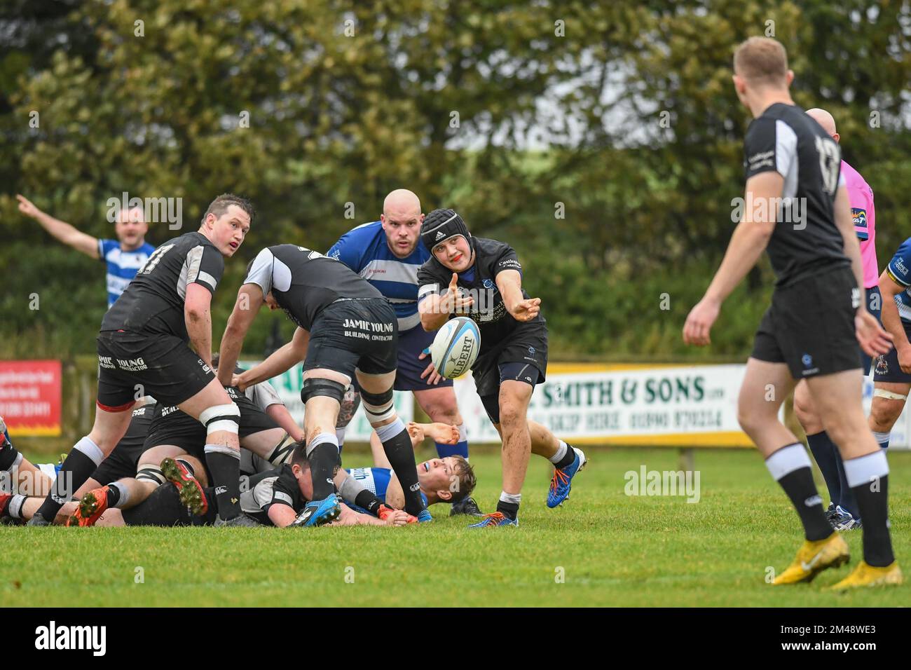 Berwick Scrum Half passt den Ball von der Rückseite des Scrums beim Spiel Berwick Rugby Club gegen Howe of Fife Rugby Club Männer Stockfoto