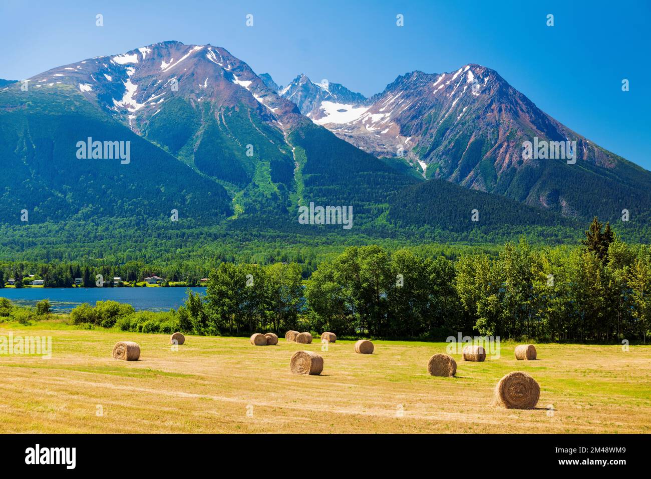 Große runde Heuballen auf Feldern; Lake Kathlyn; Hazelton Mountains; Smithers; British Columbia; Kanada Stockfoto
