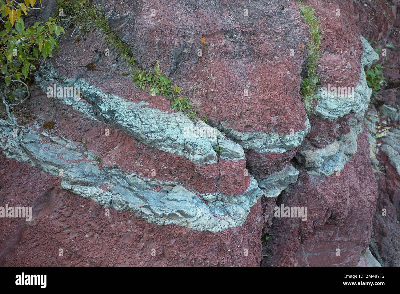 Argillite Sedimentgesteinsschichten im Red Rock Canyon, Waterton, Kanada. Die rote Farbe stammt aus oxidiertem Eisen. Die grünen Bänder enthalten nicht oxidiertes Eisen Stockfoto
