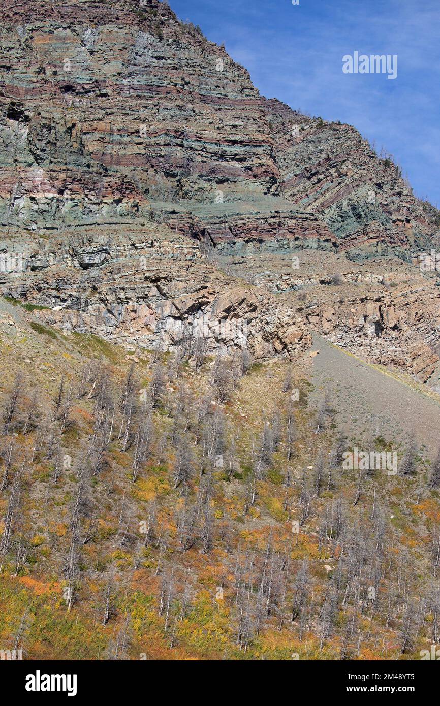 Argillit-Sedimentgesteinsschichten in den antiken Bergen von Waterton, Kanada. Die rote Farbe ist aus oxidiertem Eisen und die grüne Farbe aus nicht oxidiertem Eisen Stockfoto