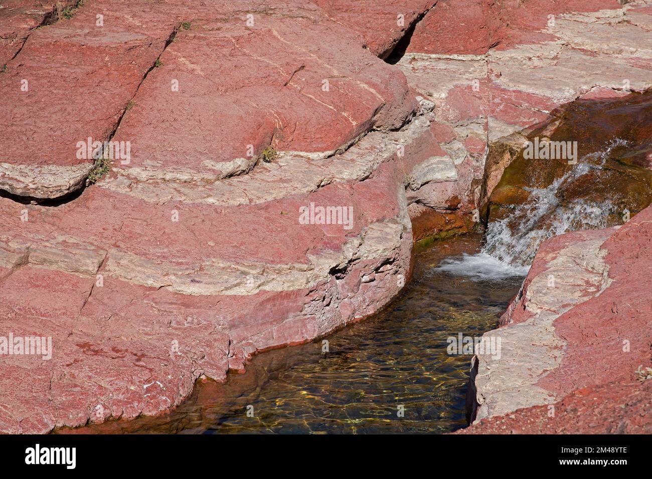 Antiker Argillitfelsen, rot gefärbt mit oxidiertem Eisen entlang des Bauerman Creek im Red Rock Canyon, Waterton Lakes National Park, Kanada Stockfoto