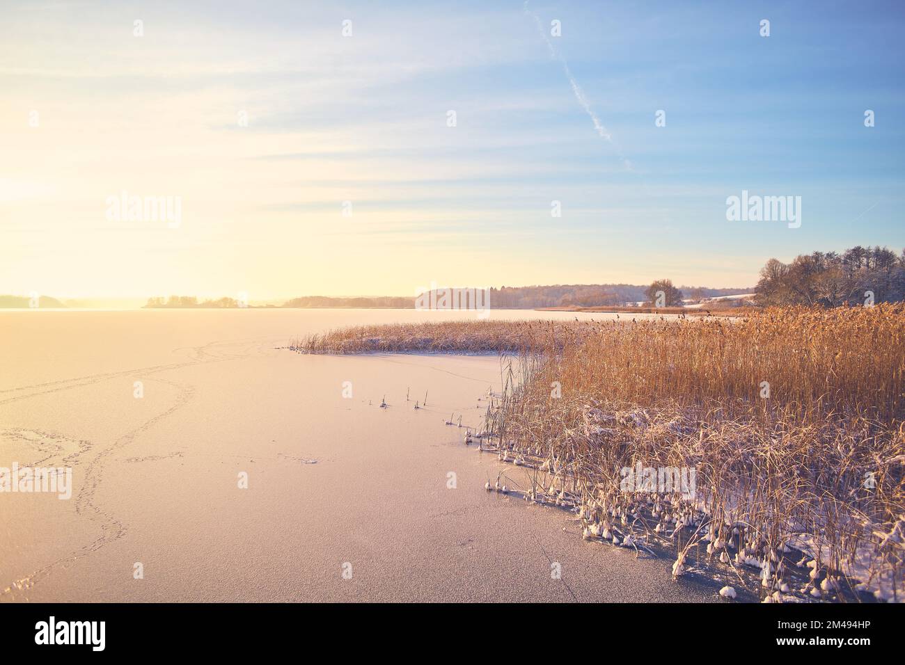 Hemmelsdorfer sehen in Norddeutschland bei Sonnenaufgang im Winter. Hochwertiges Foto Stockfoto