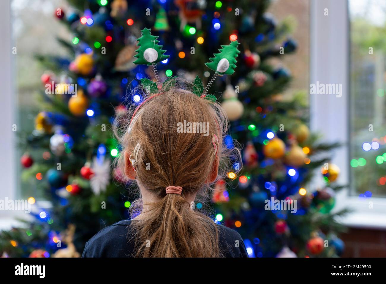 Ein kleines Mädchen (4), das auf einen Weihnachtsbaum schaut, der mit Feenlichtern und Kugeln dekoriert ist. Thema: Weihnachten, Weihnachtsgrüße, Kinderwunder Stockfoto