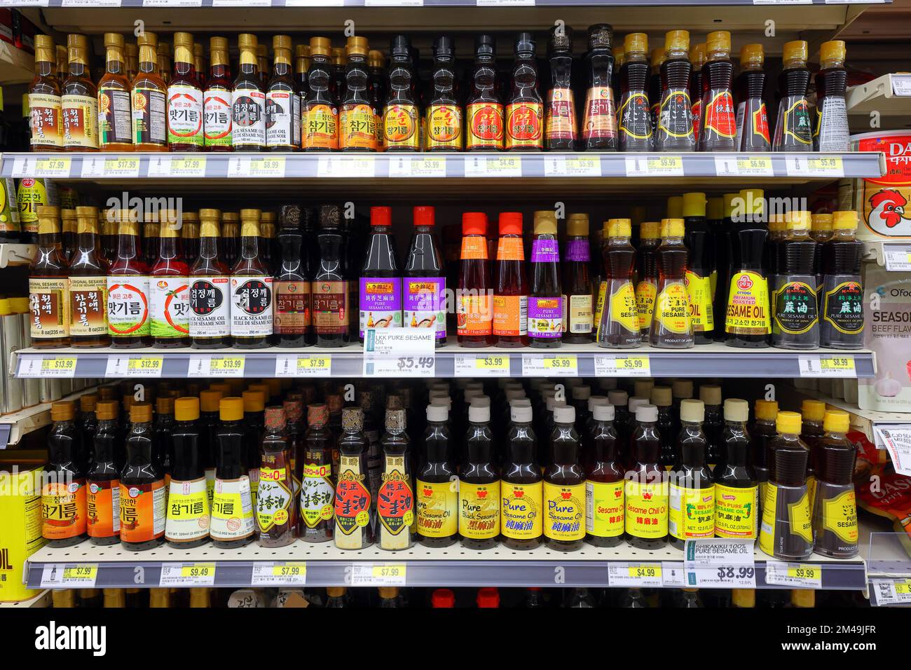 Viele verschiedene Marken von geröstetem Sesamöl auf einem Regal eines Supermarkts in einem asiatischen Lebensmittelgeschäft. Stockfoto