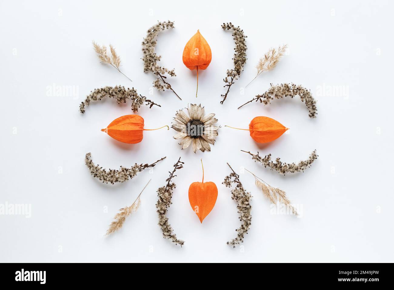 Fotografie mit Mandalaflümchen, flacher Herbst Mandalabuster mit trockenen Pflanzen auf weißem Papierhintergrund Stockfoto