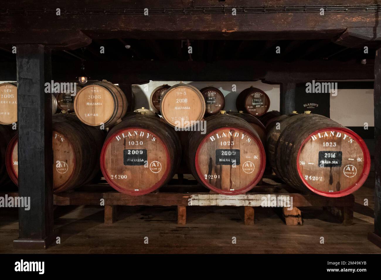 Blandys Fässer Madeira Wein, Funchal, Madeira Insel, Portugal Stockfoto