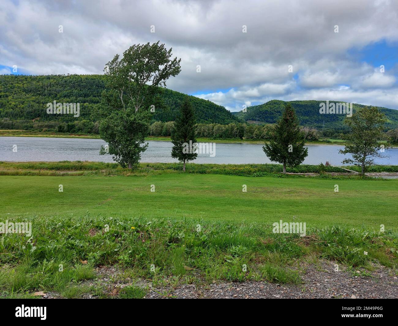 Der Bald Eagle State Park, Pennsylvania, bietet einen wunderschönen Blick auf die Bäume am Seeufer mit grünen Bergen im Hintergrund Stockfoto