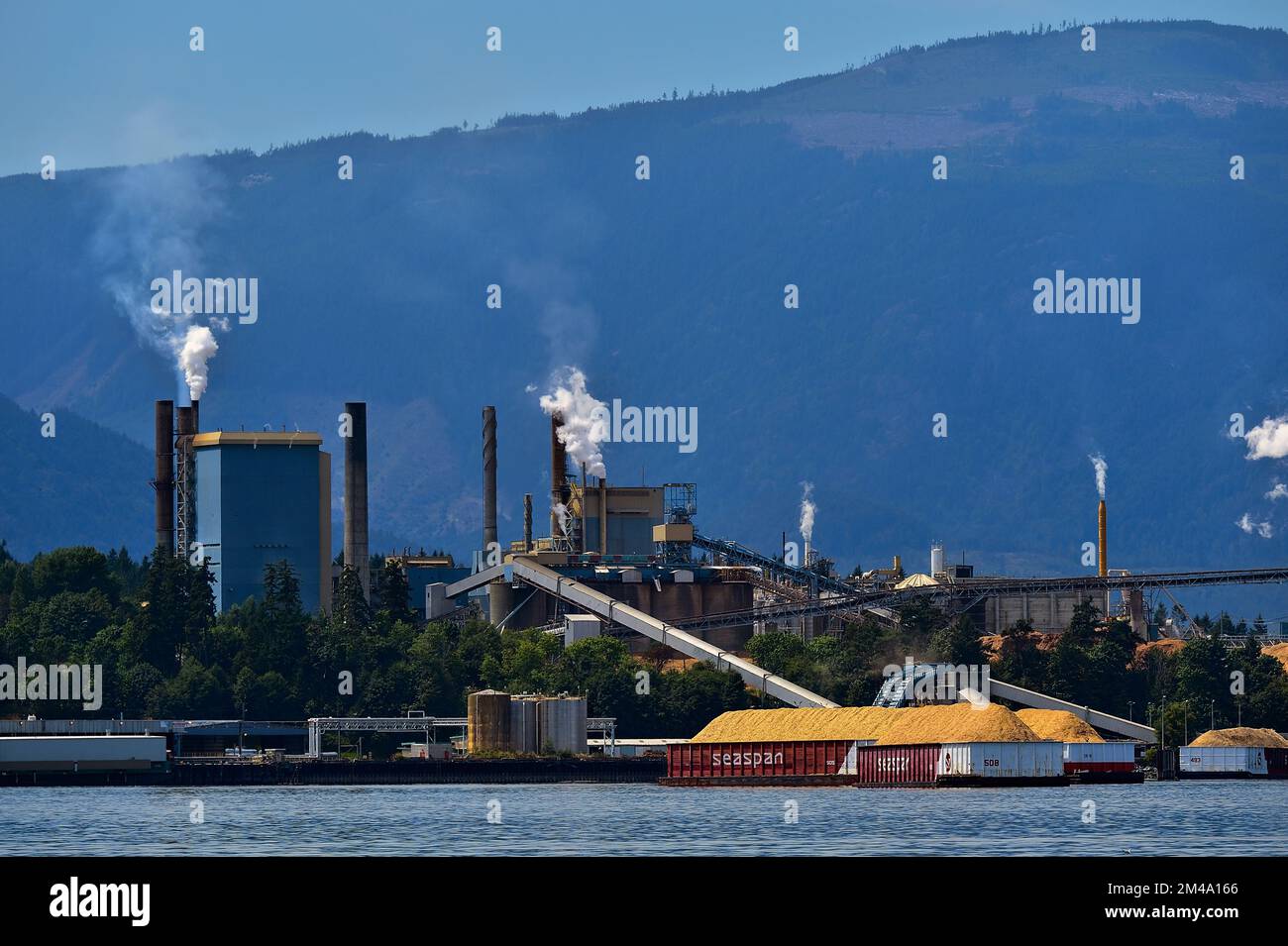 Mit Holzschnitzeln beladene Schiffe, die in der Zellstoff- und Papierfabrik in Crofton auf Vancouver Island, British Columbia, auf die Entladung warten Stockfoto