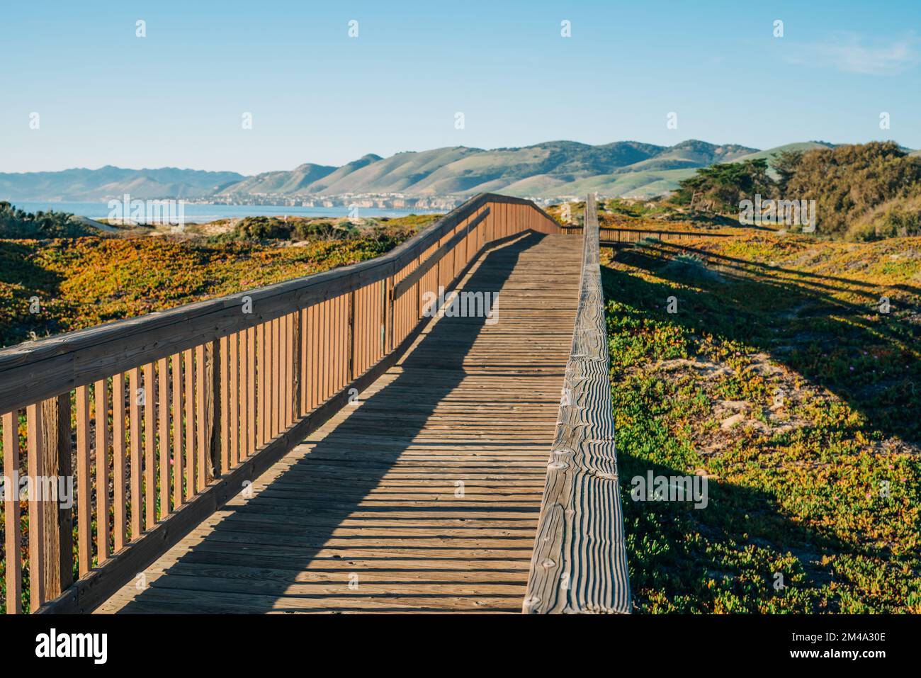 Holzboardwalk durch mehrere verschiedene natürliche Lebensräume für die Betrachtung der Flora und Fauna, Oceano, California Central Coast Stockfoto