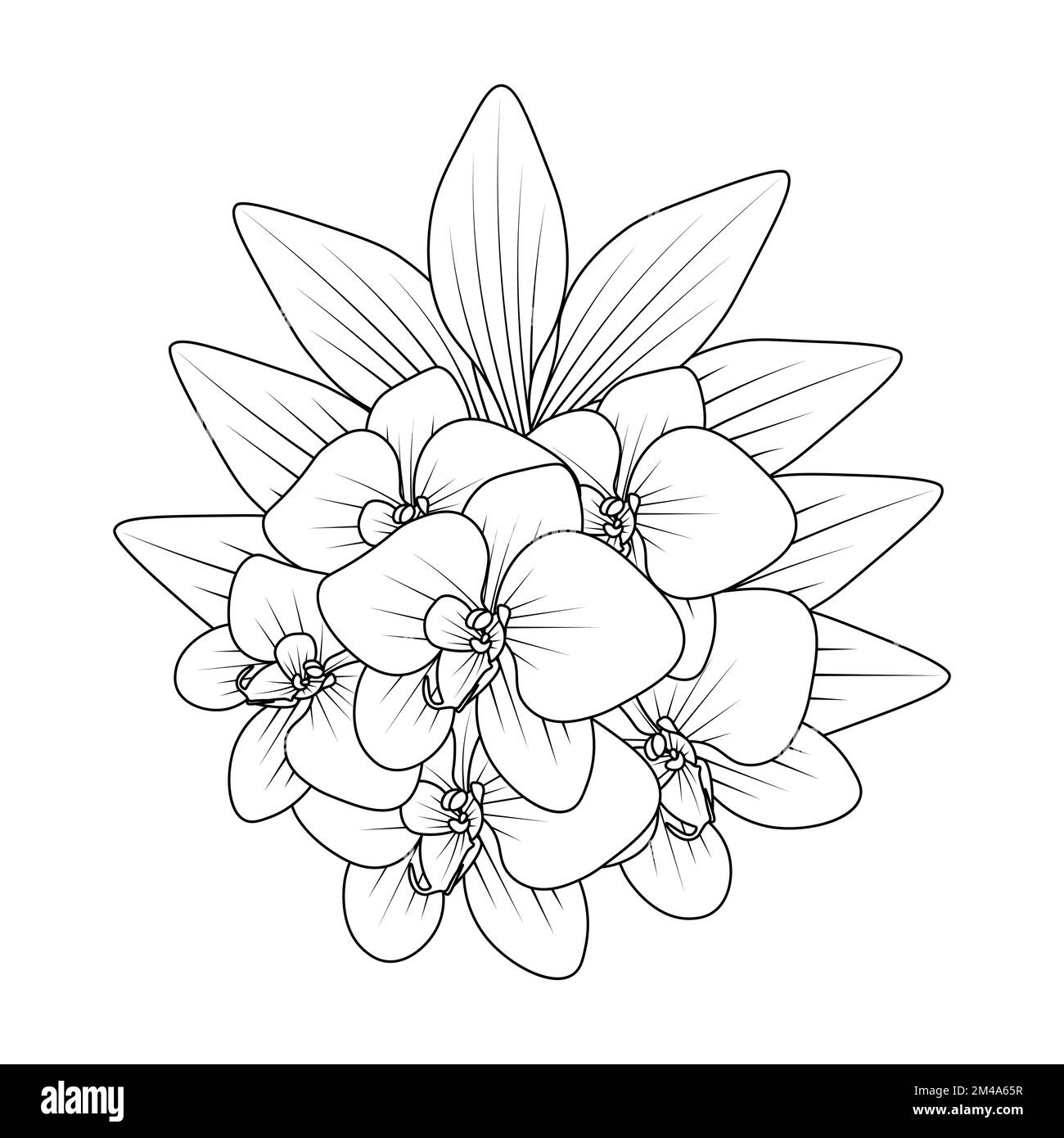 Orchideenblume Umriss Linie Farbe Seite mit einfachen Skizzen Hand Zeichnen Design Stock Vektor