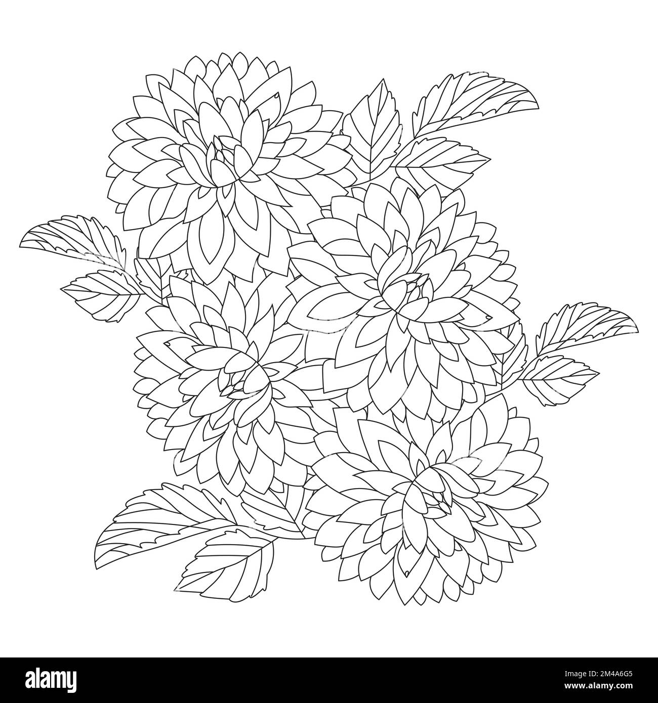 dahlienblüten-Illustration mit Bleistiftstrich im kritzeligen Kunstdesign des Farbseitendesigns Stock Vektor