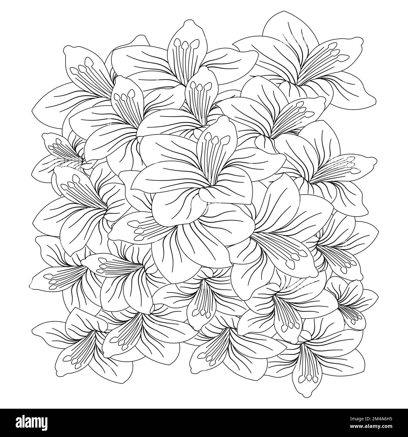 Wunderschöne Blumen Malseite mit Bleistiftskizze, detailliert in Vektorgrafik von Strichgrafiken Stock Vektor