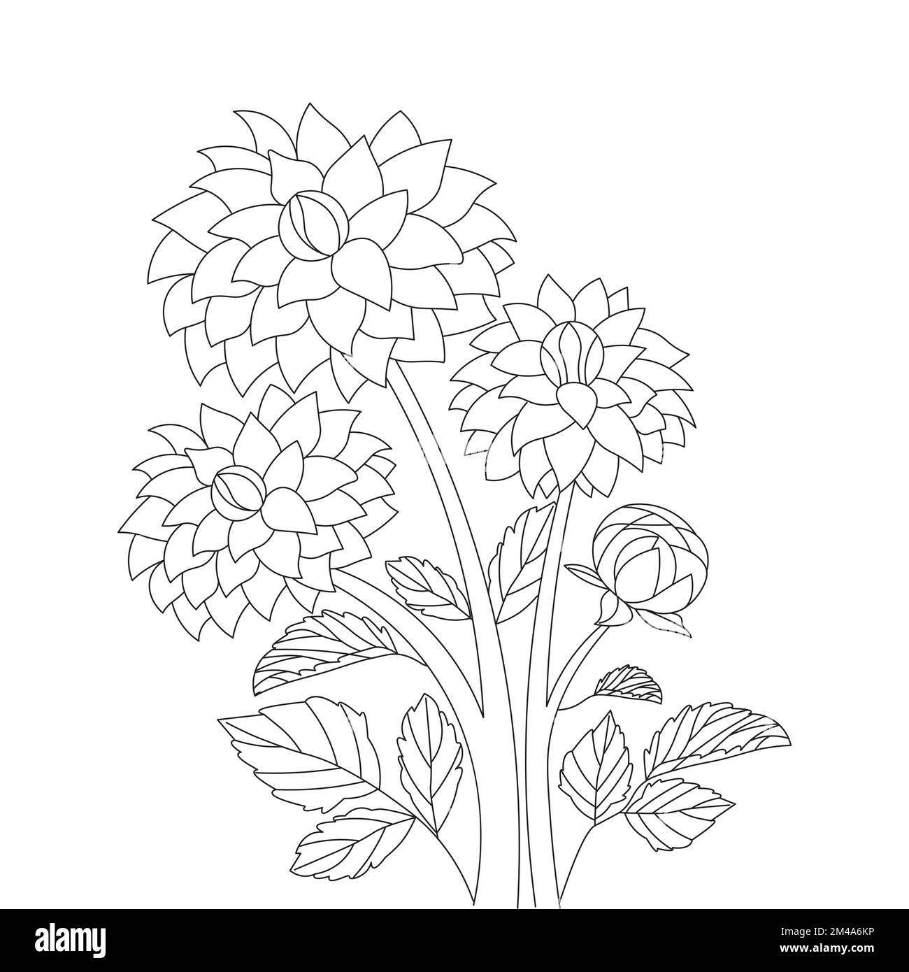 dahlienblüten-Illustration mit Bleistiftstrich im kritzeligen Kunstdesign des Farbseitendesigns Stock Vektor