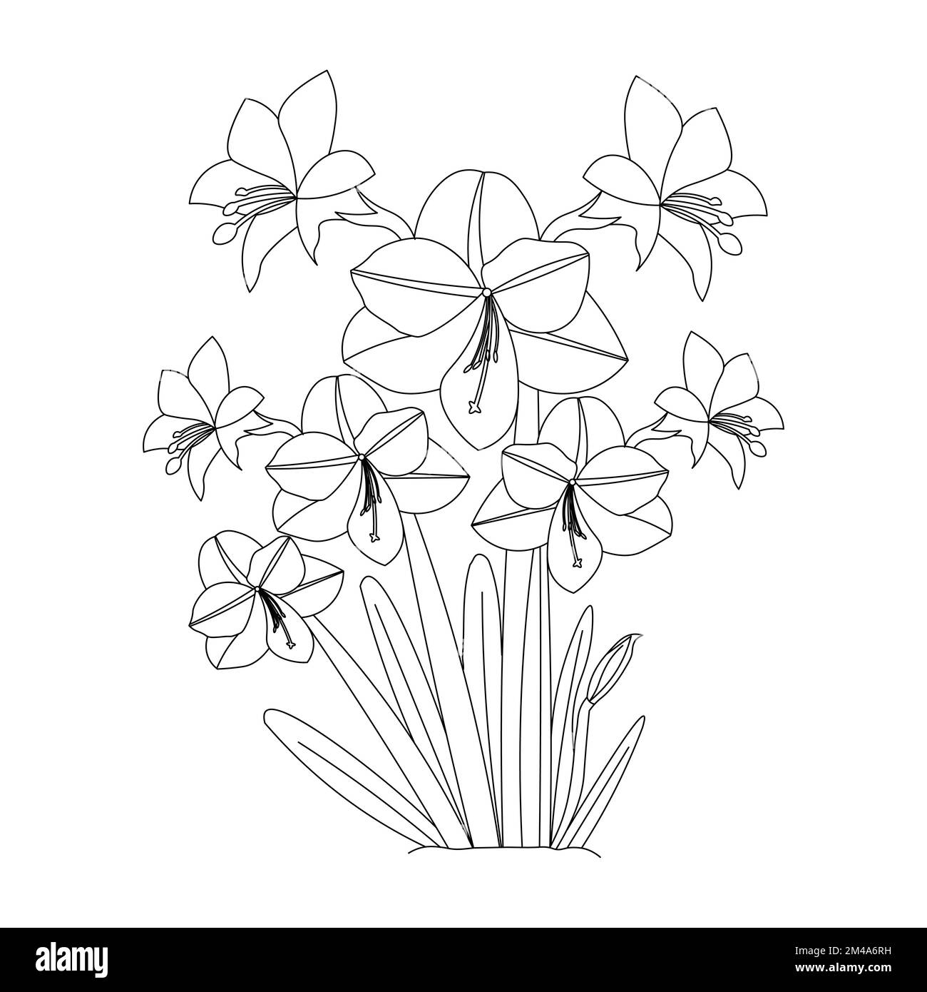 Wunderschöne Blumen Malseite mit Bleistiftskizze, detailliert in Vektorgrafik von Strichgrafiken Stock Vektor
