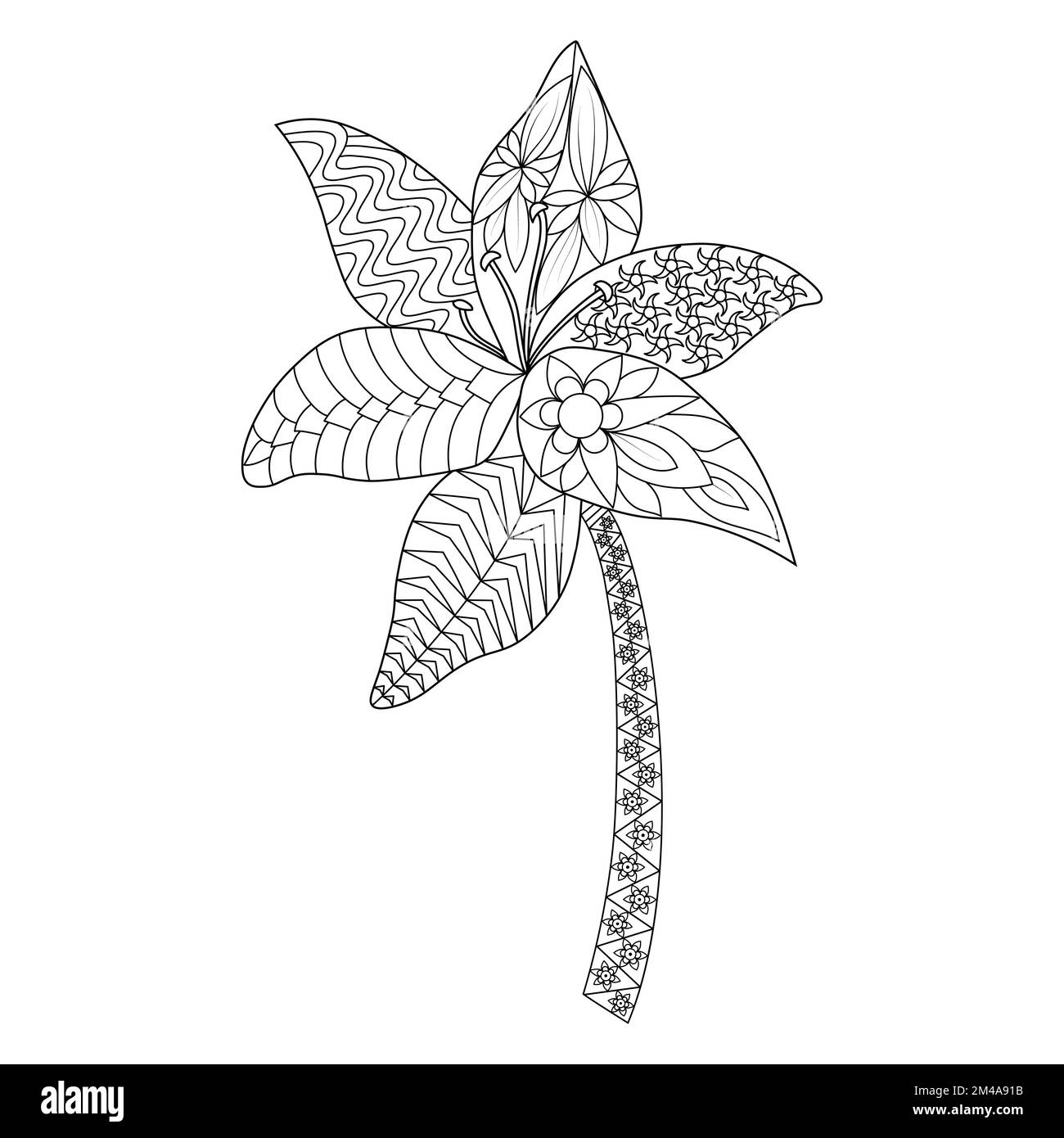 Blume zentangle Kunstzeichnung einer Lilienblume dekorative Illustration für Erwachsene Malseite Stock Vektor