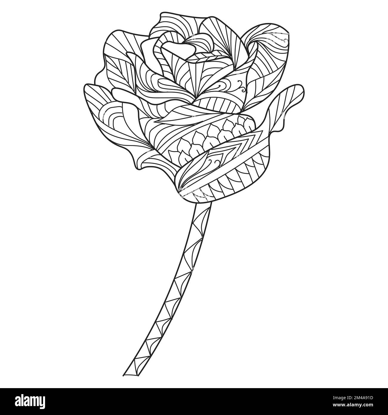 Blumen Rose zentangle Farbseite mit dekorativen einfachen Skizzen Designanschauung Stock Vektor