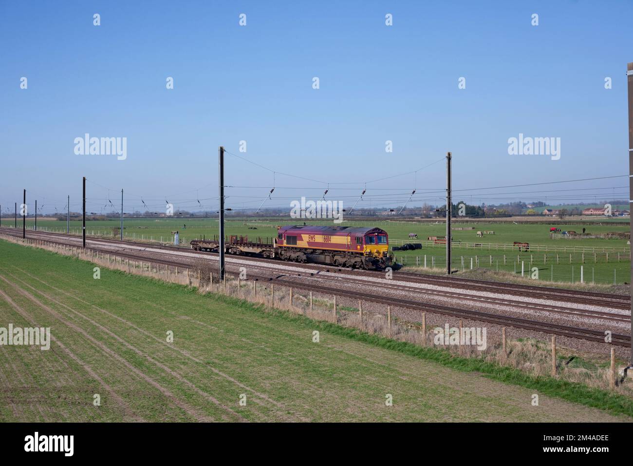 DB Cargo Rail Klasse 66 Lokomotive 66114 in EWS-Farben transportiert einen kurzen Güterzug auf der vierspurigen Hauptlinie Ostküste bei Thirsk Stockfoto