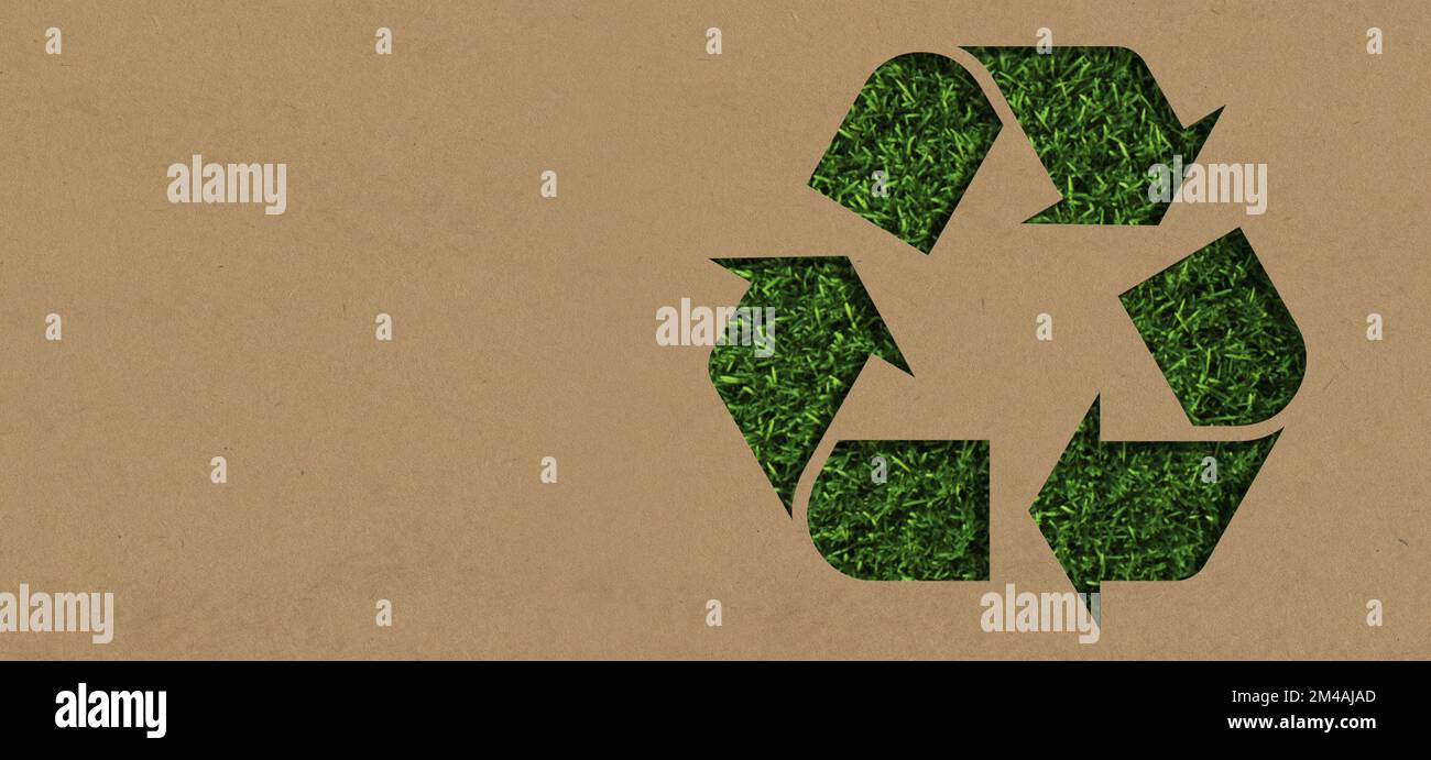 Gras, Modell und Karton mit Recycling-Pfeil für Nachhaltigkeit, Umwelt und Verpackungsverschmutzung. Recycling, Earth Day und Energie mit Eco Stockfoto