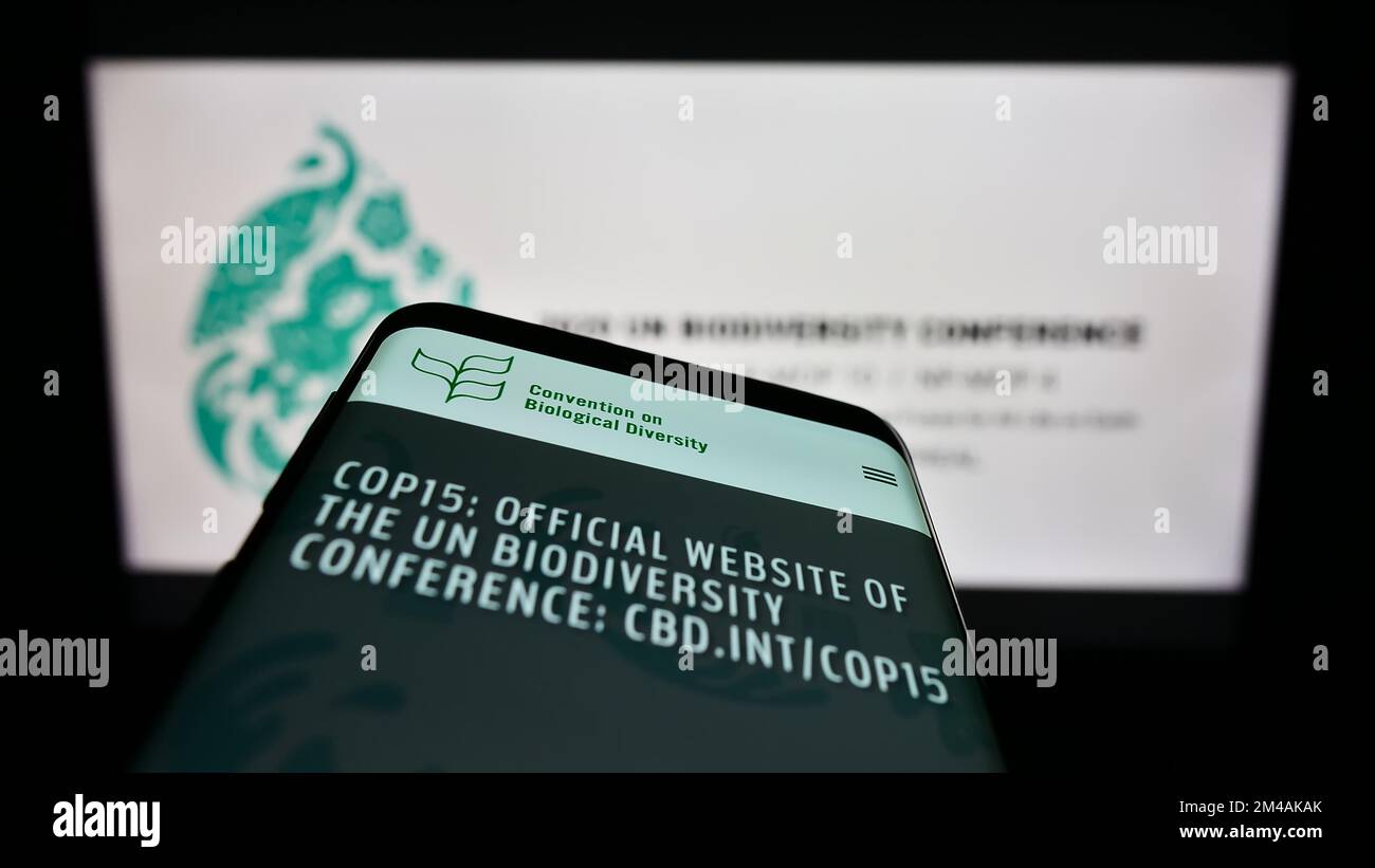 Mobiltelefon mit Website der Biodiversitätskonferenz CBD COP 15 in Montreal auf dem Bildschirm vor dem Logo. Fokus auf oberer linker Seite des Telefondisplays. Stockfoto