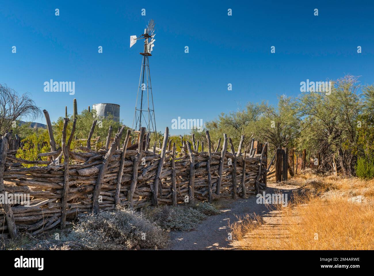 Windmühle, Wassertank, Schlachtzaun bei Corral, Bates Well Ranch, El Camino del Diablo, Organ Pipe Cactus National Monument, Arizona, USA Stockfoto