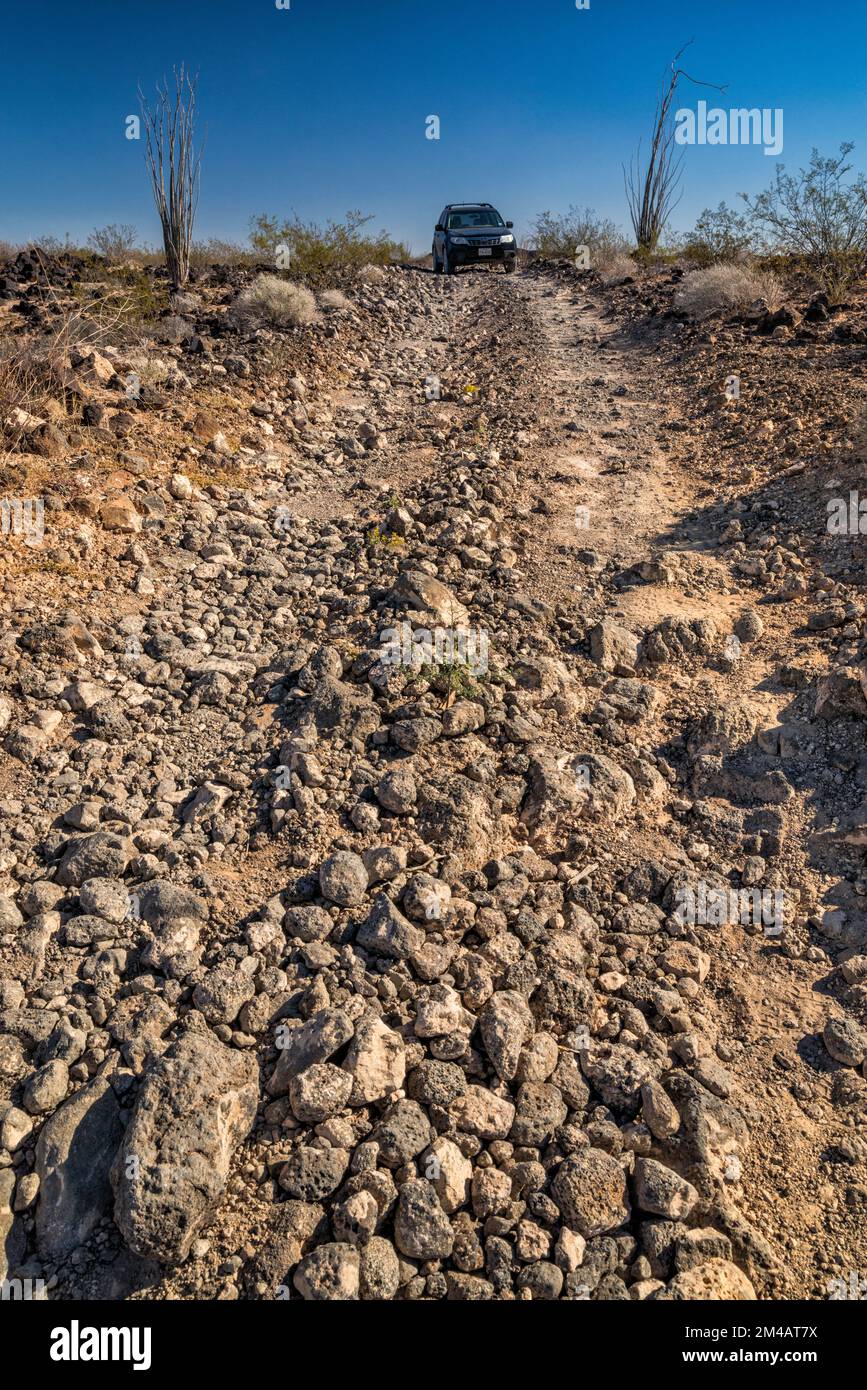 Raue Straße über Pinacate Lavastein Felsen, El Camino del Diablo, Cabeza Prieta Natl Wildlife Refuge, Arizona, USA Stockfoto