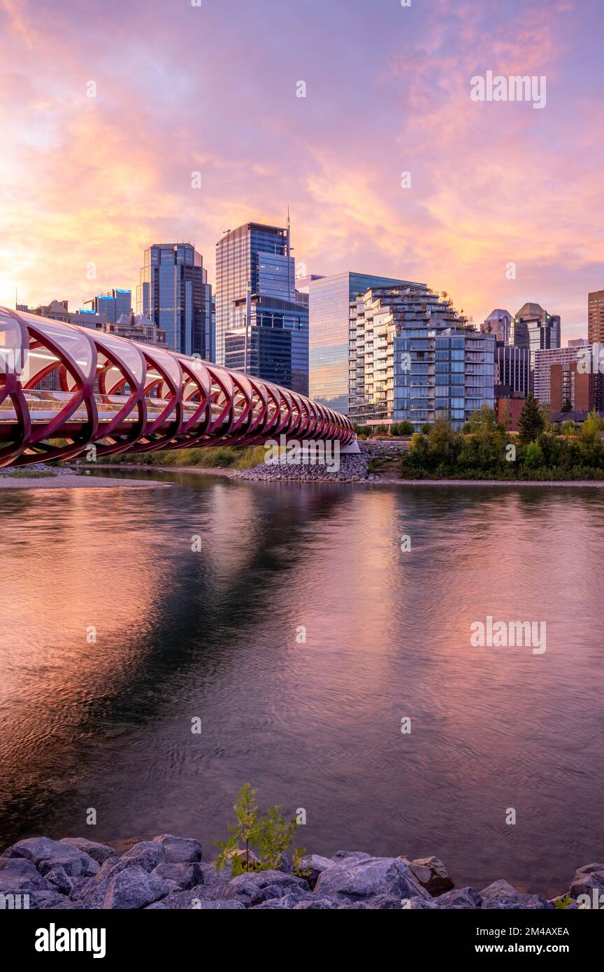 Calgary, Alberta - 11. September 2020: Blick auf die Skyline von Calgary mit der Peace Bridge, die während eines lebhaften Sonnenaufgangs an prominenter Stelle steht. Stockfoto