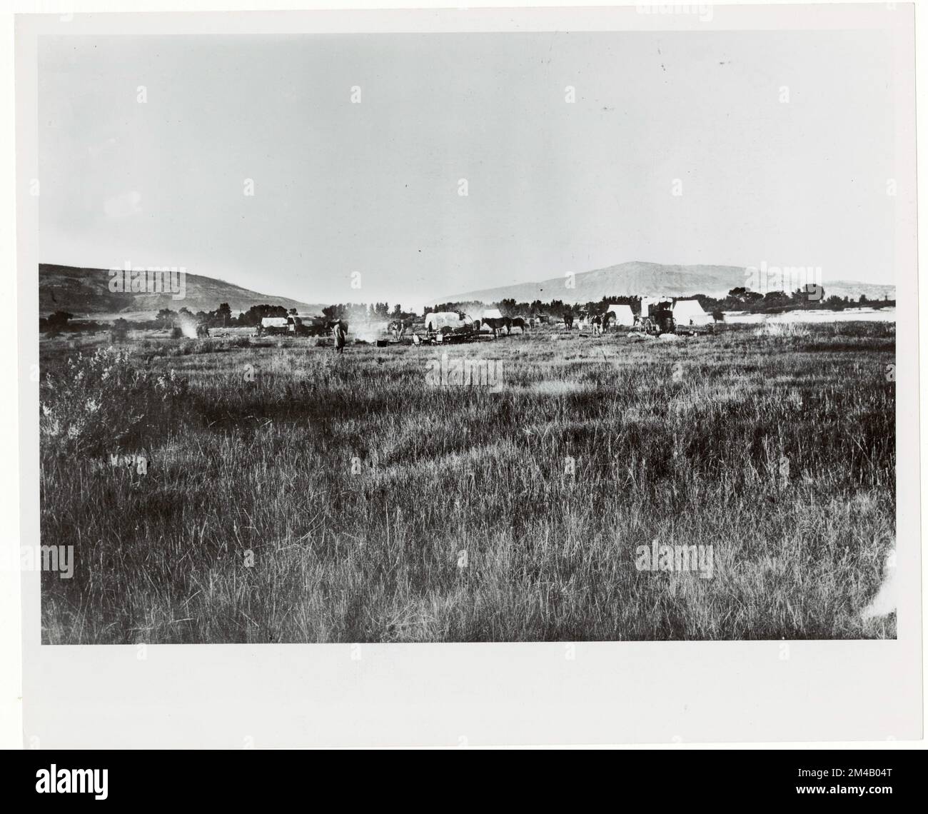 Camping und Picknick - Wyoming. Fotografien zu National Forests, Resource Management Practices, Personal sowie Kultur- und Wirtschaftsgeschichte Stockfoto