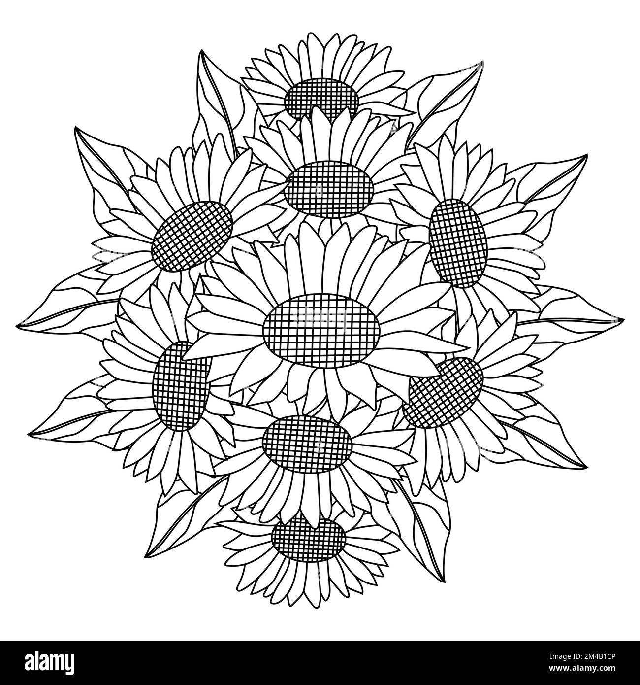 Sonnenblumenvektor der Farbseite Doodle Bleistiftlinie zeichnen blühende Blume Stock Vektor