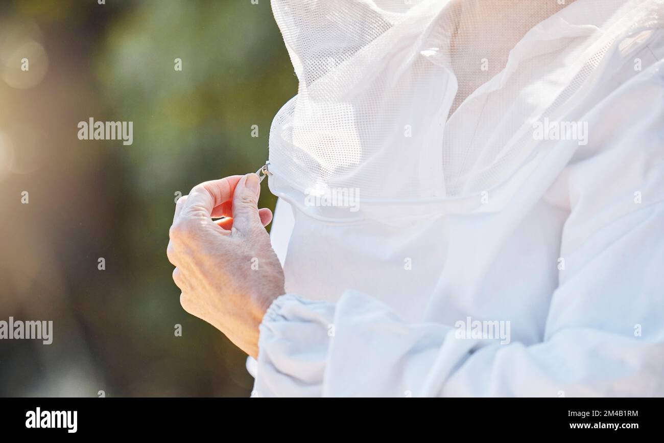 Hand-, Zip- und Imkeruniformen mit einer Bauernfrau im Freien auf dem Land für ökologische Nachhaltigkeit. Landwirtschaft, Landwirte und Bienenzucht mit einem Stockfoto