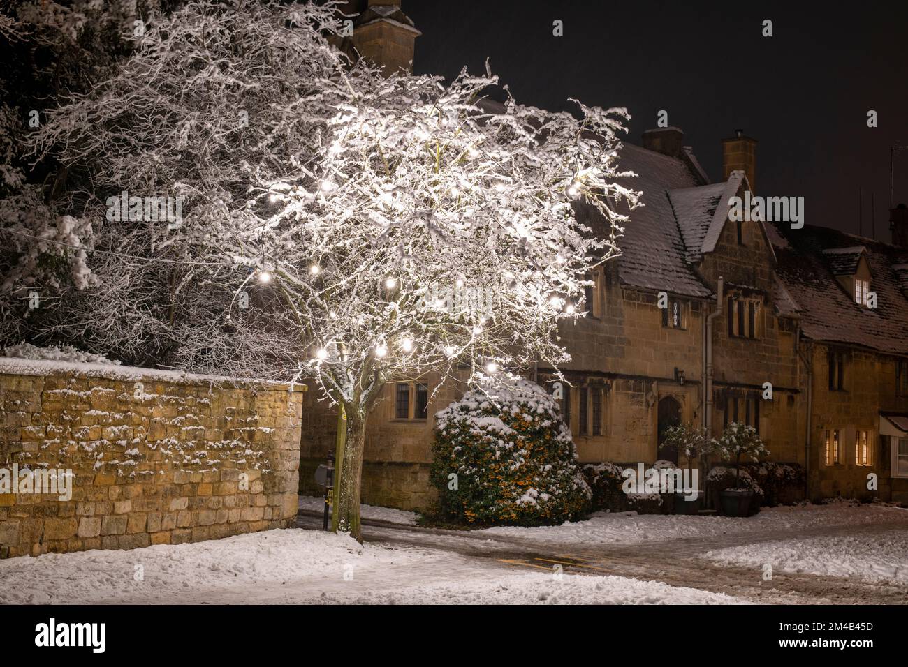 Broadway-Dorf und Weihnachtsbäume mit hellen Dekorationen bei Nacht im Schnee. Broadway, Cotswolds, Worcestershire, England Stockfoto