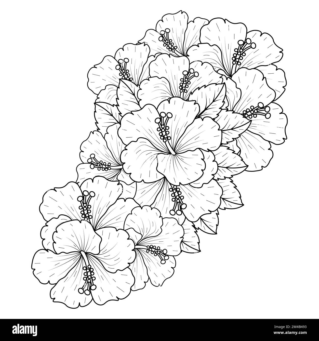 Gewöhnlicher Hibiskusblütenumriss blühende Blütenblätter oder Rosenblüten Farbblatt Stock Vektor