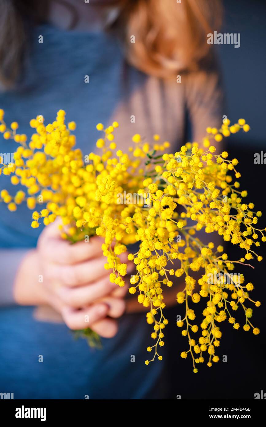 Ein Mädchen hält in der untergehenden Sonne einen Strauß Frühlings-Mimosablüten in den Händen. Konzept vom 8. März, fröhlicher Frauentag. Schließen Stockfoto