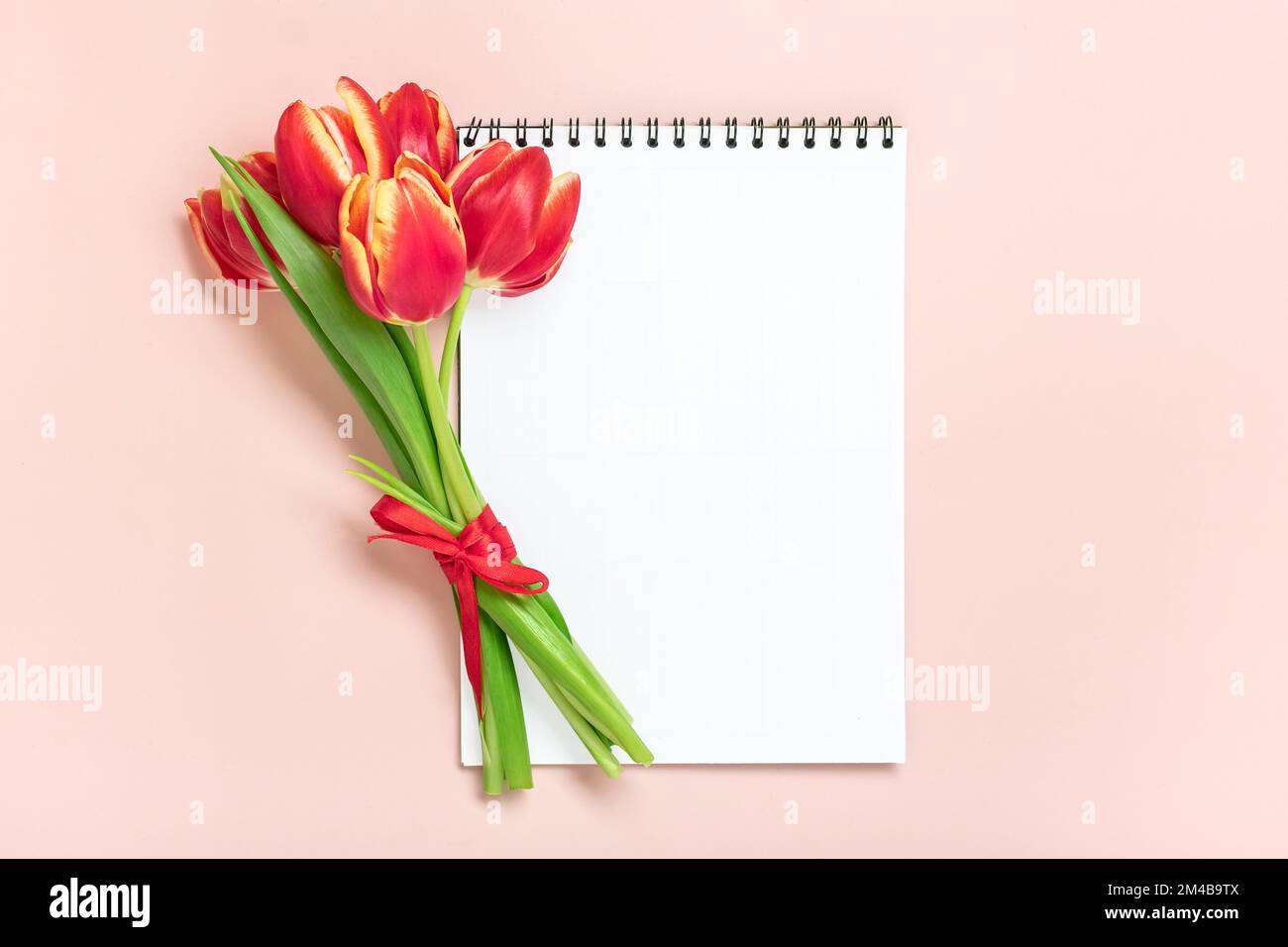 Strauß roter Tulpen, Geschenkbox Herz, Notizblock auf pinkfarbenem Hintergrund Top View Flat Lay Holiday Grußkarte Happy Moter's Day, 8. März, Valentinstag, Stockfoto