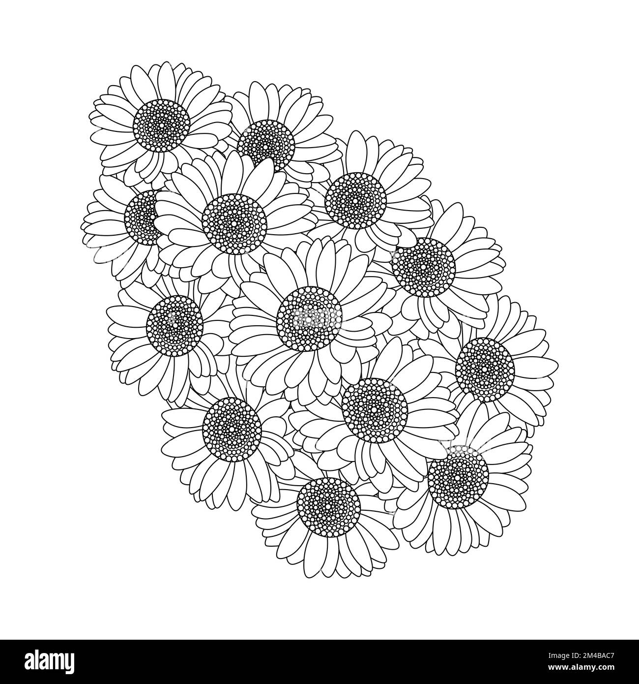 Sonnenblumenvektorumriss Farbseite der blühenden Blütenblätter und hinterlässt eine Illustration der Blüten Stock Vektor