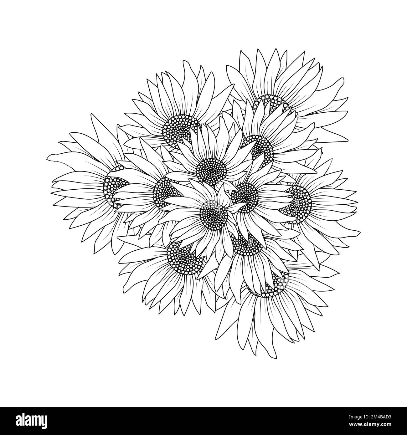 Sonnenblumenvektorumriss Farbseite der blühenden Blütenblätter und hinterlässt eine Illustration der Blüten Stock Vektor