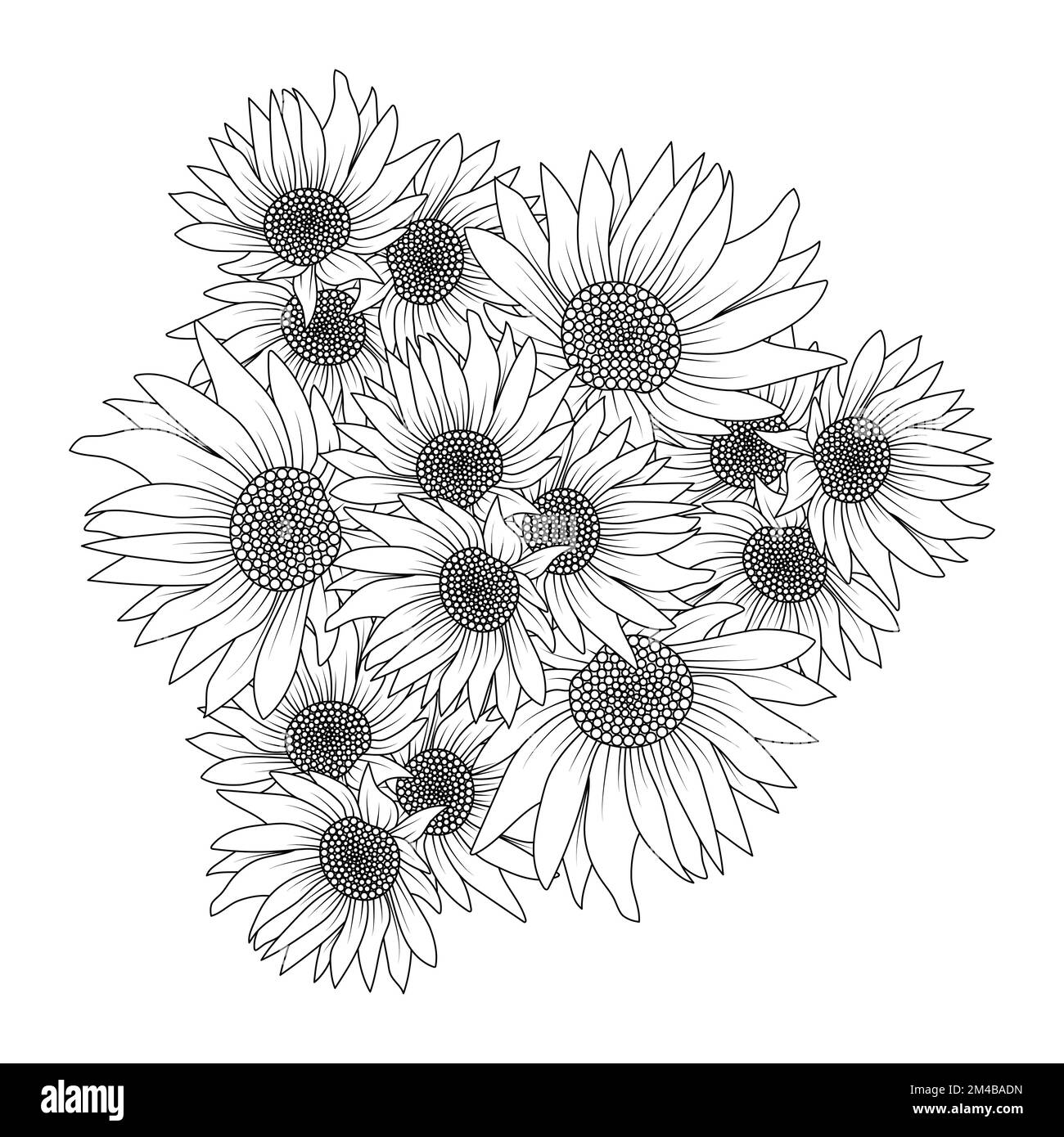 Sonnenblumenvektorumriss Farbseite der blühenden Blütenblätter und hinterlässt eine Illustration der Blüten Stock Vektor
