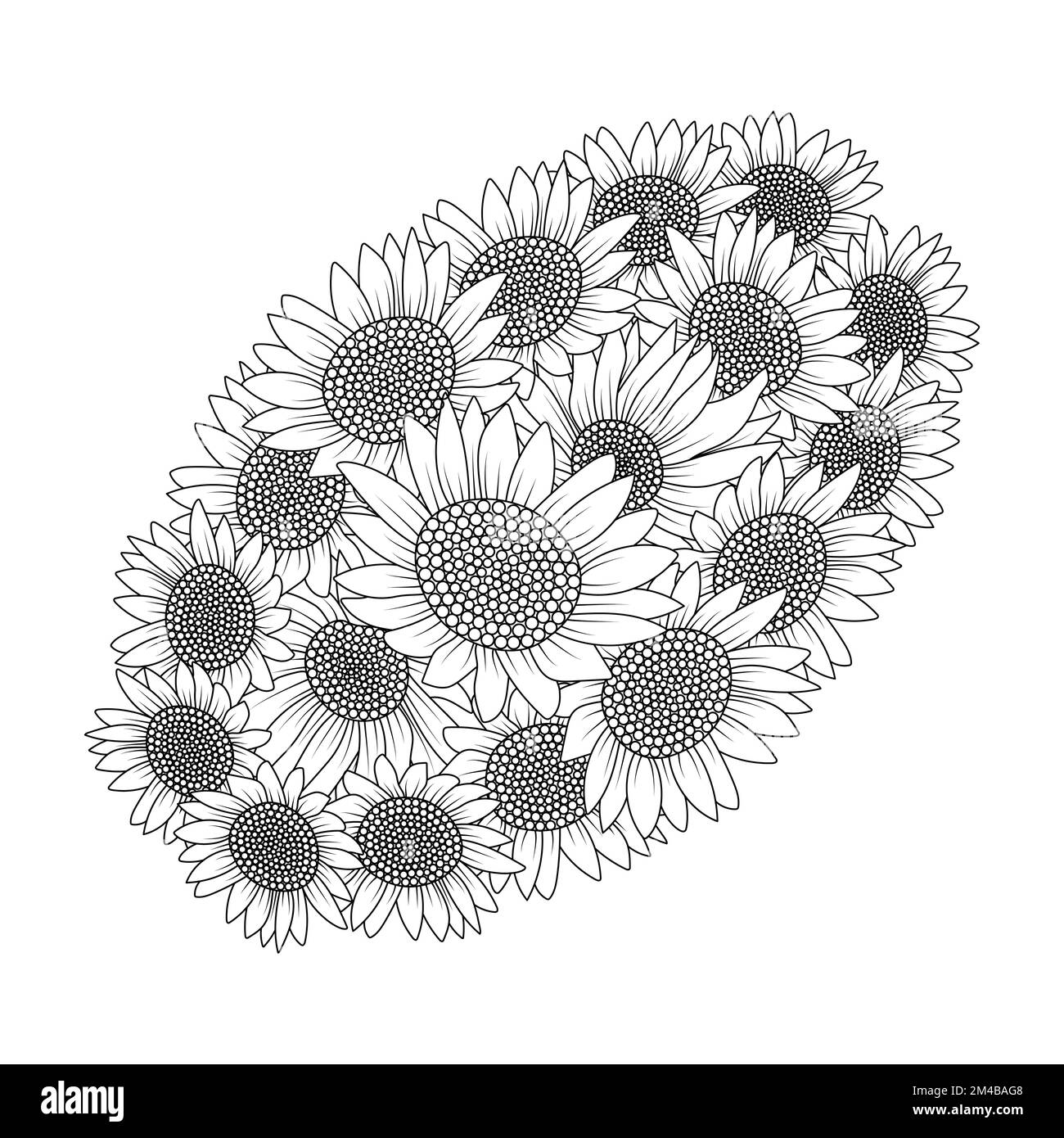 Sonnenblumenvektorumriss Farbseite der blühenden Blütenblätter und hinterlässt eine Illustration der Blüten Stock Vektor