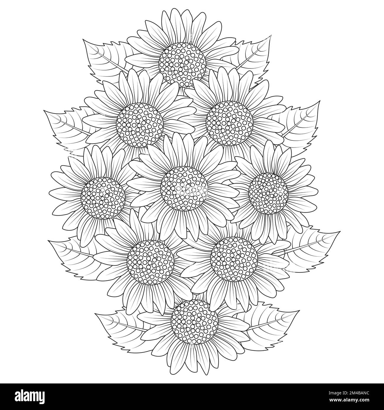 Sonnenblumenvektorumriss Farbseite der blühenden Blütenblätter und hinterlässt eine Illustration der Blüten Stock Vektor