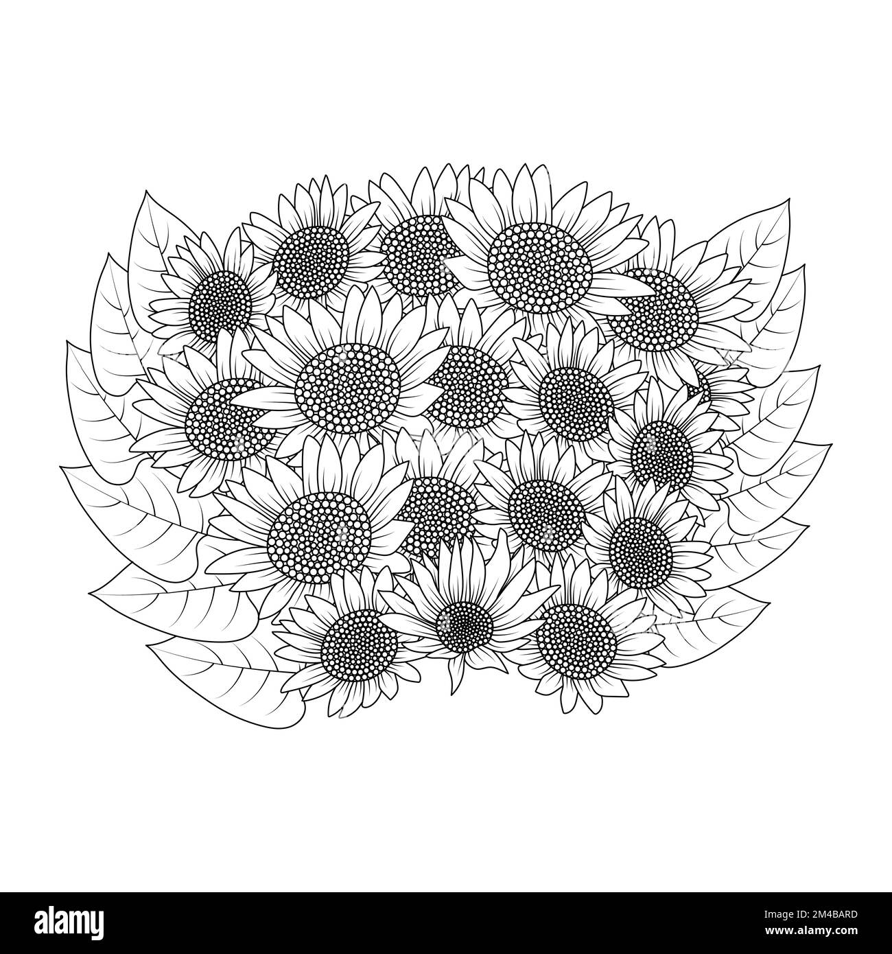 Sonnenblumenvektorumriss Farbseite der blühenden Blütenblätter und hinterlässt eine Illustration der Blüten Stock Vektor